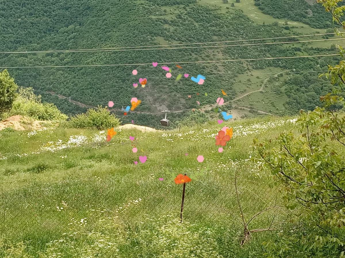 Rubina Bed And Breakfast Tatev Exterior foto