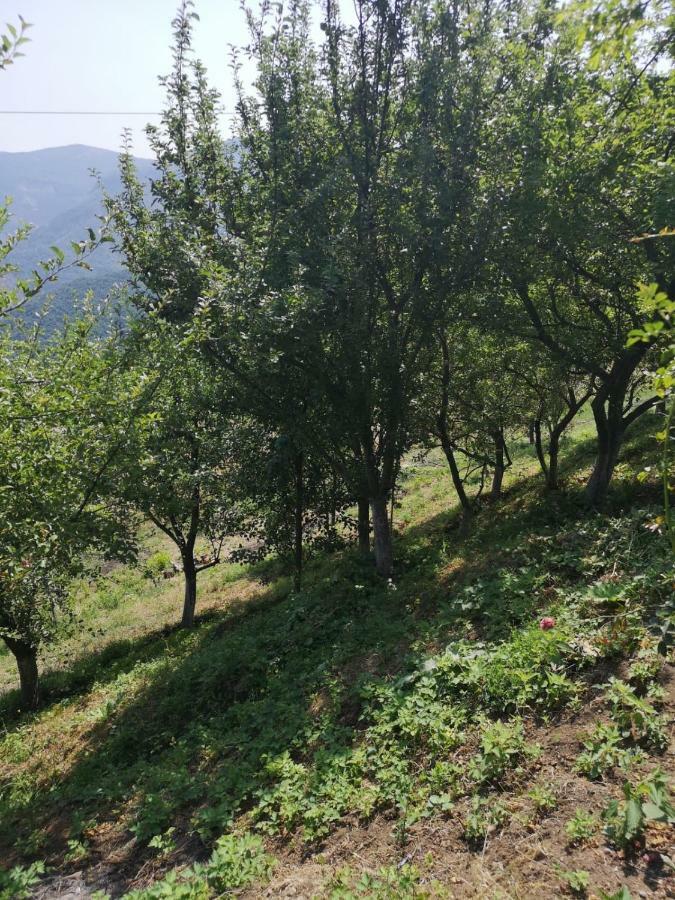 Rubina Bed And Breakfast Tatev Exterior foto